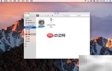 Mac上安装Source Insight指南