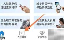 如何查电子社保卡养老金