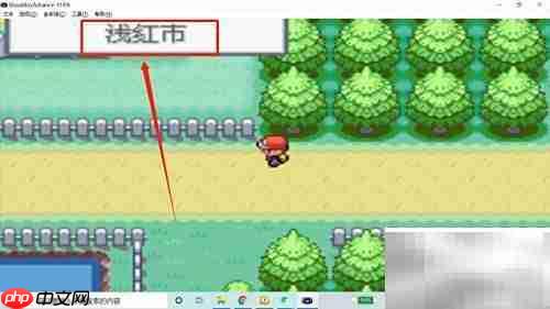 火红版袋龙捕捉攻略