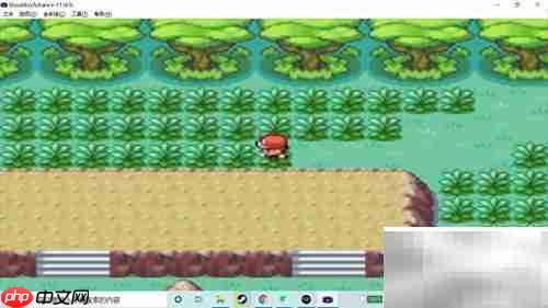 火红版袋龙捕捉攻略