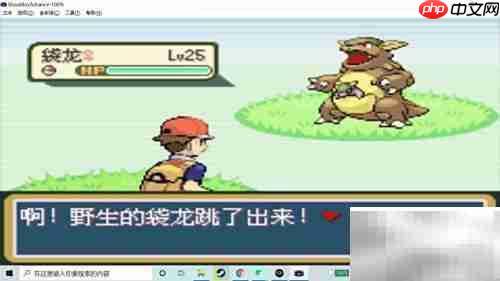 火红版袋龙捕捉攻略