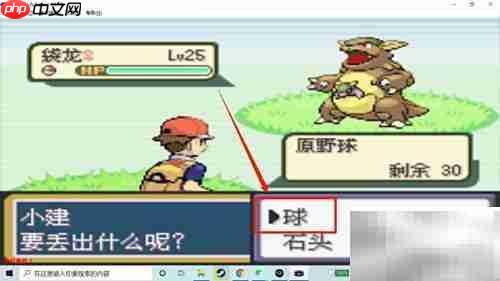 火红版袋龙捕捉攻略