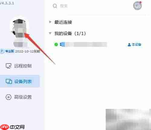 ToDesk如何设置繁体中文