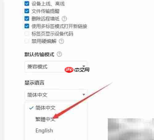 ToDesk如何设置繁体中文