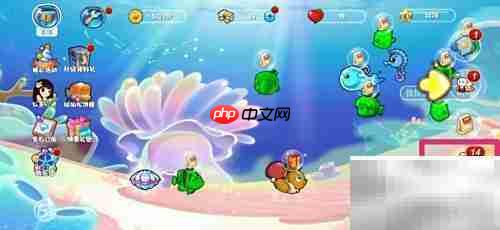 如何购买清雅绿斑小海兔