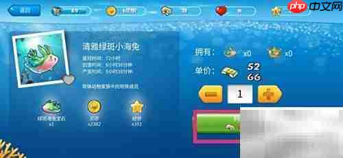 如何购买清雅绿斑小海兔