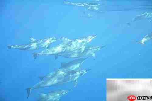 毛里求斯:如伊甸园般绝美