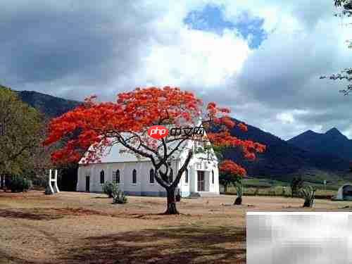 毛里求斯:如伊甸园般绝美