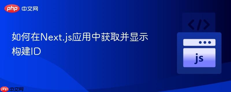 如何在Next.js应用中获取并显示构建ID