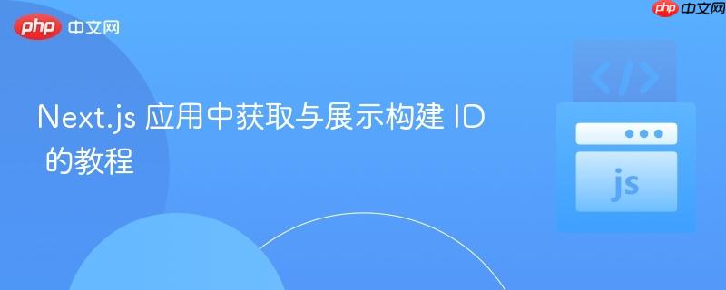 Next.js 应用中获取与展示构建 ID 的教程