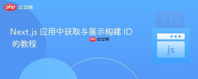 Next.js 应用中获取与展示构建 ID 的教程
