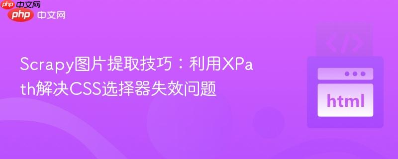 Scrapy图片提取技巧：利用XPath解决CSS选择器失效问题