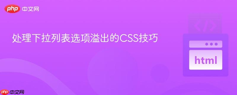 处理下拉列表选项溢出的CSS技巧