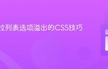 处理下拉列表选项溢出的CSS技巧