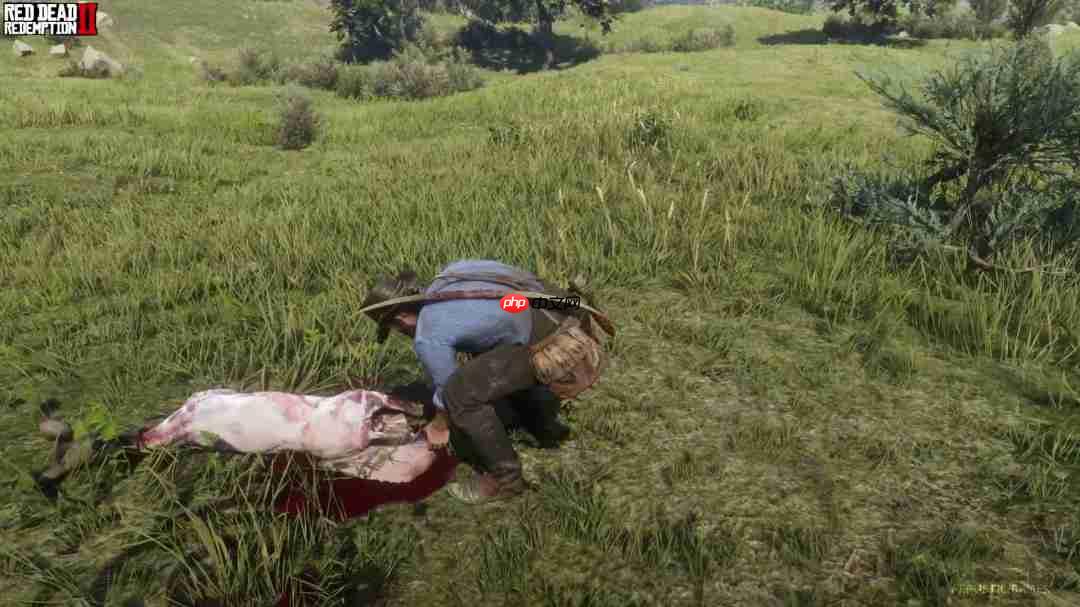 依旧无敌！《荒野大镖客2》vs《羊蹄山之魂》对比视频