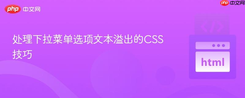 处理下拉菜单选项文本溢出的CSS技巧