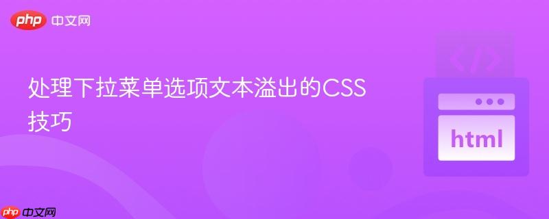 处理下拉菜单选项文本溢出的CSS技巧