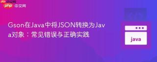 Gson在Java中将JSON转换为Java对象：常见错误与正确实践