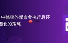 Go语言中捕获外部命令执行后环境变量变化的策略
