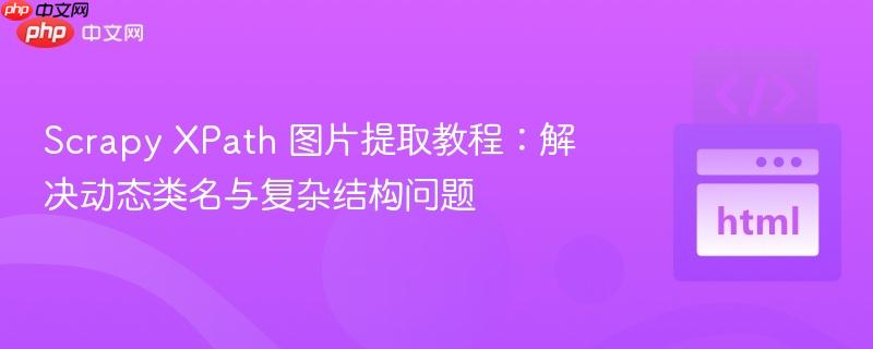Scrapy XPath 图片提取教程：解决动态类名与复杂结构问题