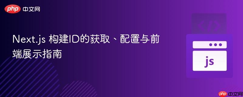 Next.js 构建ID的获取、配置与前端展示指南
