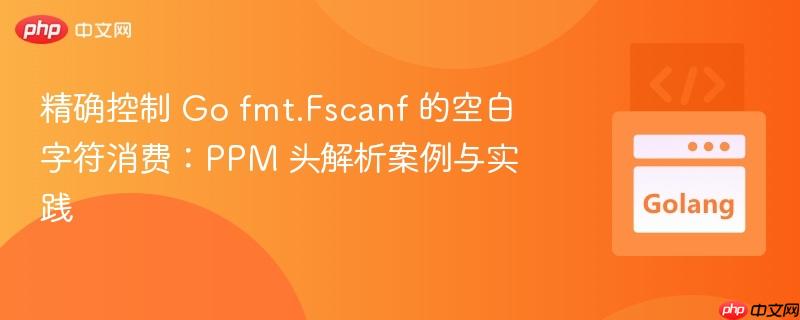 精确控制 go fmt.fscanf 的空白字符消费:ppm 头解析案例与实践