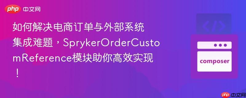 如何解决电商订单与外部系统集成难题，SprykerOrderCustomReference模块助你高效实现！