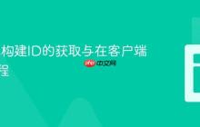 Next.js构建ID的获取与在客户端展示教程