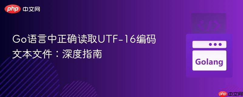 Go语言中正确读取UTF-16编码文本文件：深度指南
