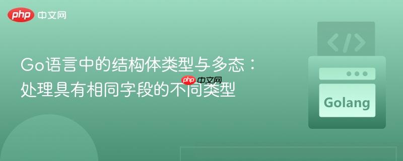 go语言中的结构体类型与多态：处理具有相同字段的不同类型