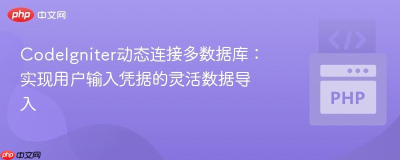 CodeIgniter动态连接多数据库:实现用户输入凭据的灵活数据导入