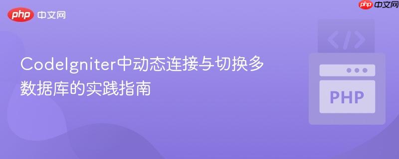 CodeIgniter中动态连接与切换多数据库的实践指南
