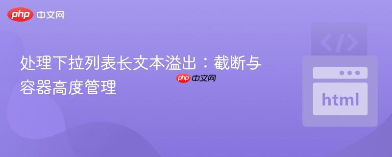处理下拉列表长文本溢出:截断与容器高度管理