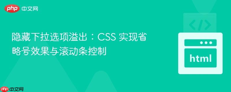 隐藏下拉选项溢出:css 实现省略号效果与滚动条控制