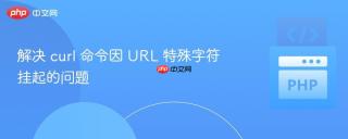 解决 curl 命令因 URL 特殊字符挂起的问题