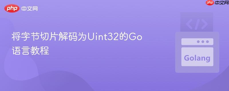 将字节切片解码为Uint32的Go语言教程