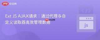 Ext JS AJAX请求：通过代理与自定义读取器高效管理数据