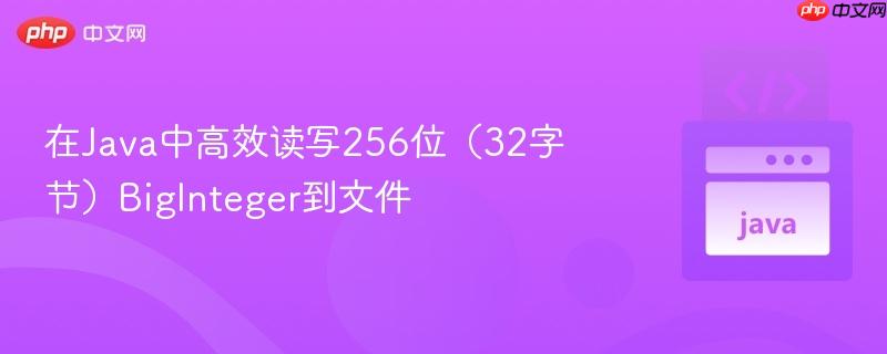 在java中高效读写256位(32字节)biginteger到文件