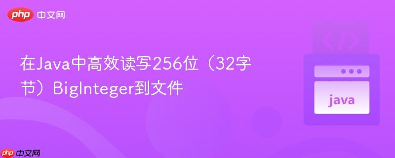 在Java中高效读写256位（32字节）BigInteger到文件