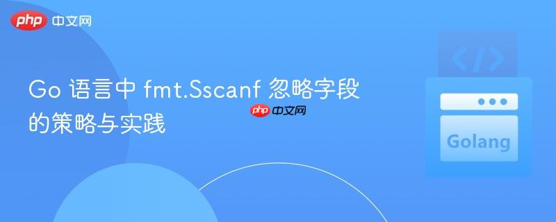 Go 语言中 fmt.Sscanf 忽略字段的策略与实践