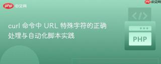 curl 命令中 URL 特殊字符的正确处理与自动化脚本实践