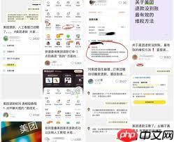 美团退款如何自查