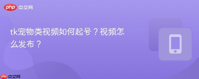tk宠物类视频如何起号？视频怎么发布？
