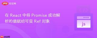 在 react 中将 promise 成功解析的值赋给可变 ref 对象