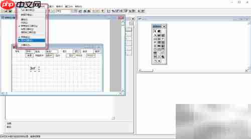 VF6.0控件修饰与位置调整