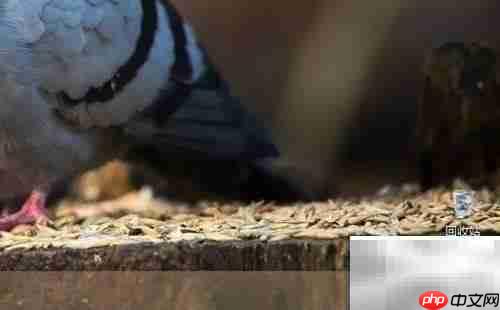 联想电脑隐藏Lenovo解决方案中心