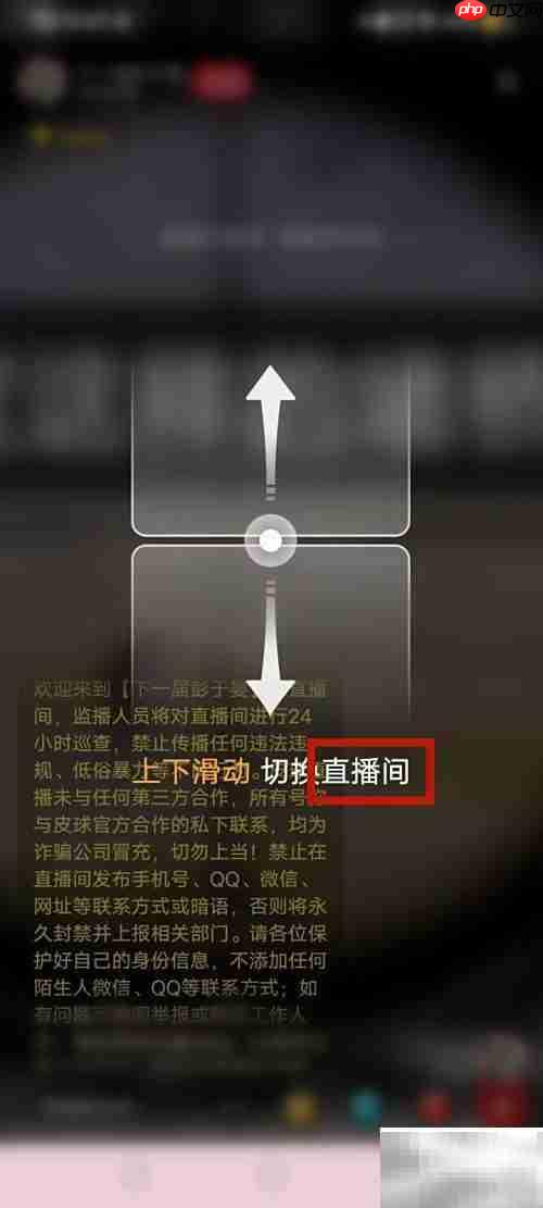 PP体育直播观看指南