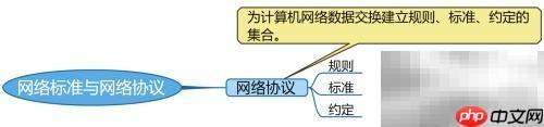 网络标准与协议解析