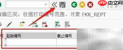 SAP FI收据打印编号设置