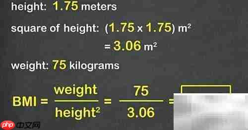 BMI指数计算方法详解
